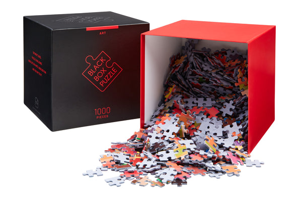 Black Box Puzzle - Kunst